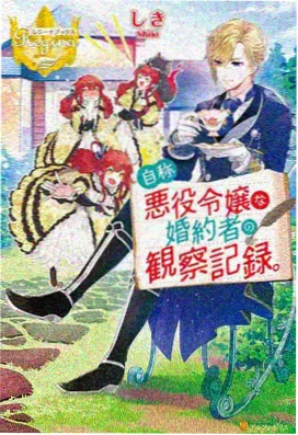 幻影忍者